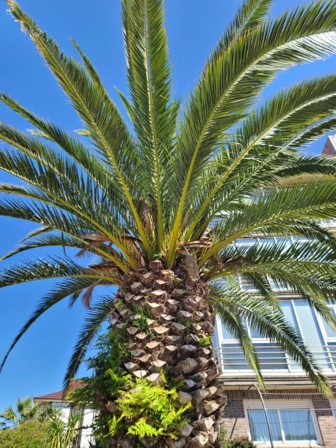נוחה Luminoso Apartamento Playa Ris Con Garaje מראה חיצוני תמונה